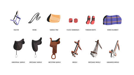 Horse riding outfitting flat vector illustrations set. Saddles, bridles and accessories. Equestrian sport attributes. Horseback riding convenience and safety facilities isolated on white backgroundのイラスト素材
