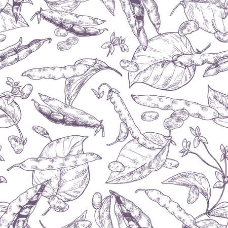 Different beans pods and grains monochrome seamless pattern. Various natural bean plant stem and leaves isolated on white background. Realistic branch of soy hand drawnのイラスト素材