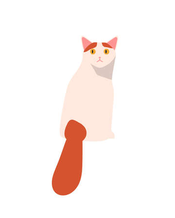 Elegant red and white turkish van cat breed vector flat illustration. Cute funny domestic animal sitting isolated on white background. Beautiful pet with furry tailのイラスト素材