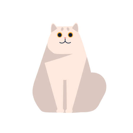 Cute short haired british chinchilla cat breed sitting isolated on white background. Cartoon fat smiling pet posing vector flat illustration. Funny thoroughbred white domestic animalのイラスト素材
