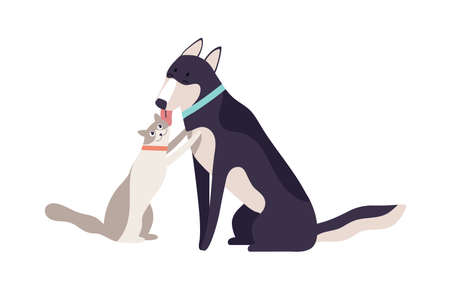 Cartoon friendly dog licking happy cat enjoying friendship isolated on white background. Two domestic animal friends playing together vector flat illustration. Colorful pet demonstrate loveのイラスト素材