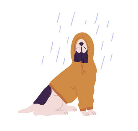 Funny dog wearing hoodie under rain vector flat illustration. Cute domestic animal dressed in hood at rainy seasonal weather isolated on white background. Adorable pet outdoorのイラスト素材