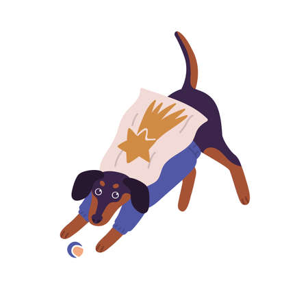 Cute dog wearing superhero costume playing with ball vector flat illustration. Adorable domestic animal having fun isolated on white background. Joyful pet dressed in colorful apparelのイラスト素材