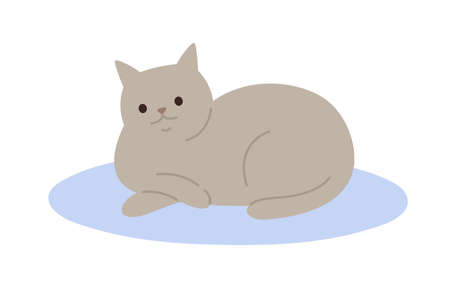 Cute cartoon gray cat lying on carpet vector flat illustration. Adorable domestic animal relaxing on floor isolated on white background. Funny pet colorful furry friend with tailのイラスト素材
