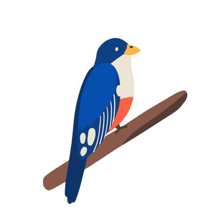 Traditional Cuban animal or tropical bird, trogon sitting on branch. Exotic small jungle birdie tocororo, symbol of freedom. Flat vector cartoon illustration isolated on white backgroundのイラスト素材