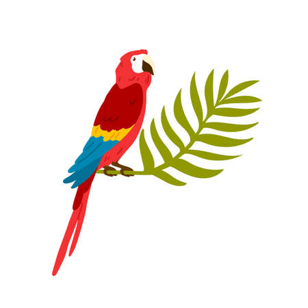 Exotic tropical ara bird, macaw. Big red parrot sitting on jungle palm brunch, leaf. Caribbean exotic character for t shirt print. Flat vector cartoon illustration isolated on white backgroundのイラスト素材