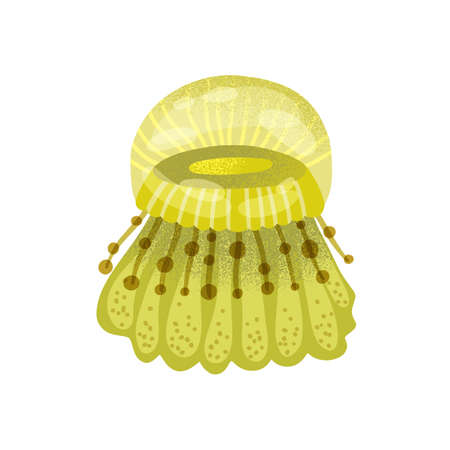 Jellyfish swimming in sea. Underwater marine yellow medusa with beautiful tentacles isolated on white background. Flat vector cartoon textured illustration of bright jelly fishのイラスト素材