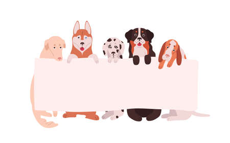 Cute dogs holding empty horizontal advertising banner with a place for text. Funny domestic animals with blank sign isolated on white background. Vector illustration in flat cartoon styleのイラスト素材