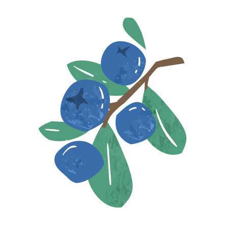 Hand drawn branch of ripe blueberries or bilberries with leaves vector flat illustration. Fresh...