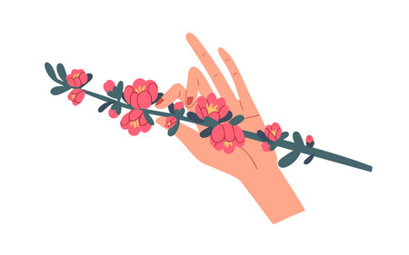 Female hand holding green quince branch with gorgeous blooming pink flowers isolated on white background. Beautiful spring floral plant. Colorful flat vector illustrationのイラスト素材