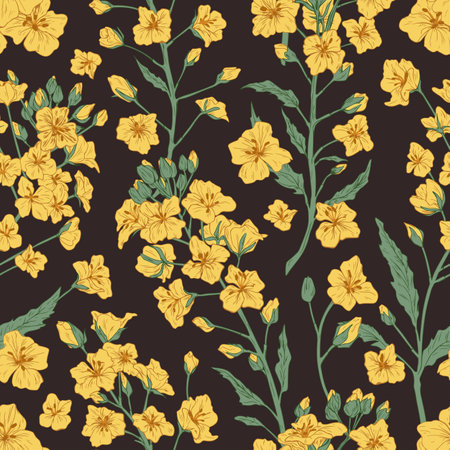 Elegant seamless pattern of rapeseed plant or yellow canola flowers. Botanical design for printing. Endless repeatable floral backdrop on dark background. Hand drawn detailed vector illustrationのイラスト素材