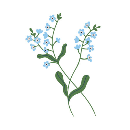 Small blue forget-me-not flowers on stem with leaves. Delicate blooming forgetmenots. Botanical floral element. Colorful flat vector illustration isolated on white backgroundのイラスト素材