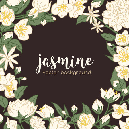 Elegant floral background with place for text. Design of card template with circle of white jasmine flowers and leaves. Frame of mock oranges on dark backdrop. Drawn colored flat vector illustrationのイラスト素材