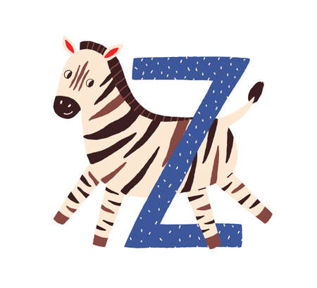 Capital letter Z of childish English alphabet with cute zebra in Scandi style. Kids font with funny animal for language learning. Hand-drawn flat vector illustration isolated on white backgroundのイラスト素材