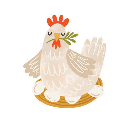 Cute brood hen on nest with eggs. Domestic bird during laying and brooding. Colorful flat textured vector illustration isolated on white backgroundのイラスト素材