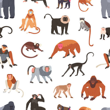 Seamless pattern with different species of monkeys apes, baboons, chimpanzees and macaques. Endless backdrop with tropical jungle animals. Colorful flat vector illustration on white backgroundのイラスト素材