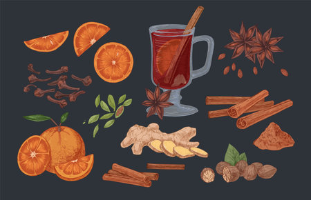 Mulled wine and spices hand drawn vector illustrations set. Flavoring seeds and herbs realistic color isolated cliparts pack. Winter season traditional drink ingredients. Ginger root, cinnamon sticksのイラスト素材