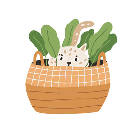 Cute and funny playful cat hiding in wicker basket with plant. Adorable kitty playing and lurking. Hand-drawn colored flat vector illustration isolated on white backgroundのイラスト素材
