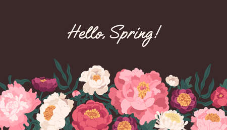 Horizontal floral backdrop with border of delicate blossomed spring peonies flowers and Hello Spring inscription. Botanical flat vector illustration isolated on dark background.のイラスト素材