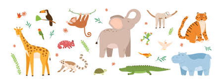 Set of cute jungle animals. Collection of exotic tropical birds, tiger, giraffe, monkey, chameleon and turtle. Childish characters. Colored flat vector illustration isolated on white backgroundのイラスト素材