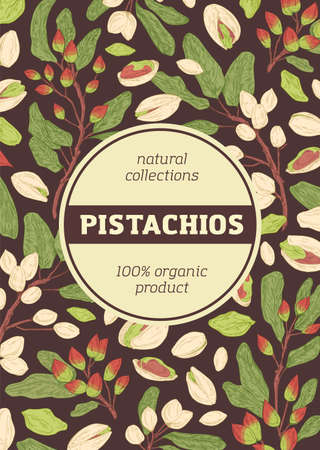 Design of packaging with pistachio pattern on dark background. Vertical packing template with branches, leaves, shells and kernel of pistaches. Hand-drawn colored vector illustrationのイラスト素材