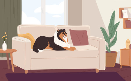 Fluffy dog lying on couch in modern living room. Happy pet resting on sofa at home. Colored flat vector illustration of cute colli relaxing in apartmentのイラスト素材