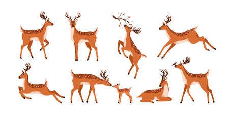 Set of cute deer isolated on white background. Adorable spotted bambis lying, running, jumping, eating and walking. Christmas reindeer. Forest horny animals. Colored flat vector illustrationのイラスト素材