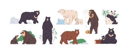 Set of brown, polar, black, Himalayan, Malay, spectacled, honey, sloth bear and panda. Animals in different poses, standing, walking and eating. Colored flat vector illustration isolated on whiteのイラスト素材