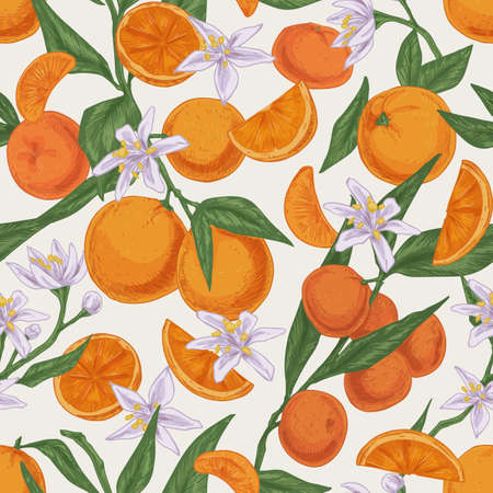 Seamless realistic citrus pattern with whole fruits, blossomed flowers and leaves of orange tree on white background. Endless texture in vintage style. Colored drawn vector illustration for printing.のイラスト素材