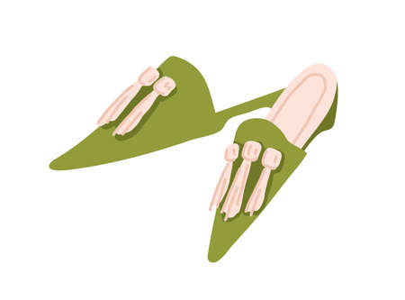 Pair of women pointed toe slippers isolated on white. Home backless shoes with tassels. Elegant female footwear. Colored flat vector illustration of fashion stylish slides with fringeのイラスト素材