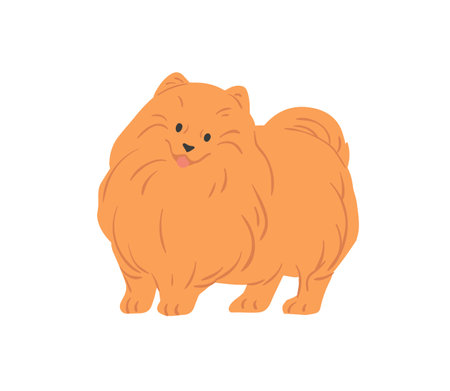 Portrait of cute Pomeranian Spitz with funny muzzle. Small toy dog of Pom breed. Adorable fluffy purebred dog. Colored flat vector illustration of friendly puppy isolated on white backgroundのイラスト素材