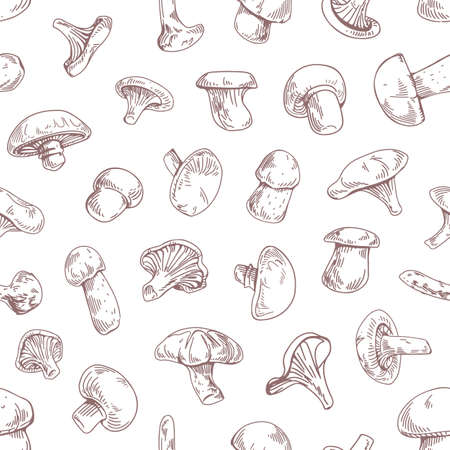Seamless pattern with different outlined mushroom species on white background. Endless repeatable engraving texture with fungi in vintage style. Hand-drawn graphic vector illustration for printingのイラスト素材