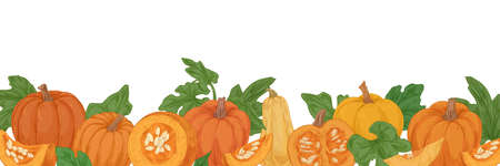 Autumn hand-drawn border with pumpkins, gourds and leaves. Fall orange vegetables. Banner with fresh ripe squashes in vintage style. Realistic colored vector illustration isolated on white backgroundのイラスト素材