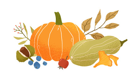 Autumn vegetable composition with pumpkin, squash, leaves, berries, fruits and mushrooms. Autumnal still life of fall season harvest. Colored flat vector illustration isolated on white backgroundのイラスト素材