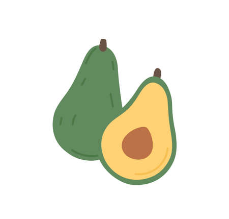 Composition of whole avocado fruit and its cut half piece with core and flesh. Raw fresh green vegetable with seed. Healthy vegetarian food. Flat vector illustration isolated on white backgroundのイラスト素材