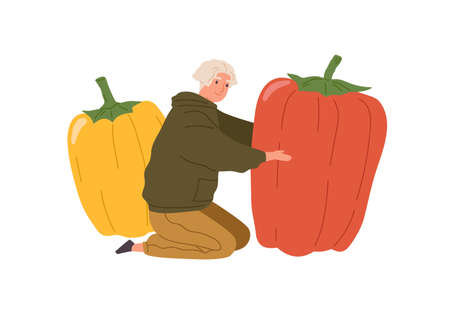 Happy tiny person holding huge sweet bell pepper. Vegetarian man with big fresh vegetables. Farmer with ripe raw veggie harvest. Flat vector illustration isolated on white backgroundのイラスト素材