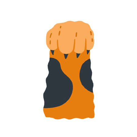 Cute cat paw with claws grabbing smth. Adorable kitty hunter foot in doodle style. Feline animal leg hunting. Colored flat vector illustration of kitten hand isolated on white backgroundのイラスト素材