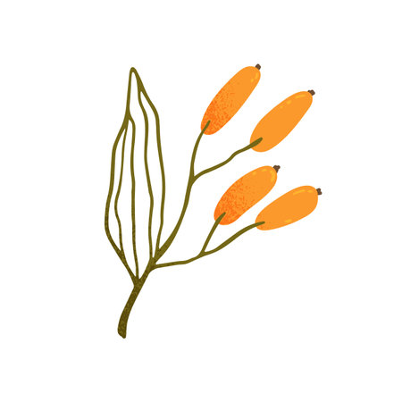 Decorative autumn branch with leaf and yellow fruits. Twig with leaves and ripe fall berries. Abstract plant for decoration. Flat vector illustration of design element isolated on white backgroundのイラスト素材
