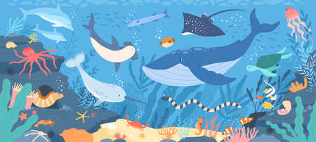 Fish and wild marine animals in ocean. Sea world dwellers, cute underwater creatures, coral reef inhabitants in their natural habitat, undersea fauna of tropics. Flat cartoon vector illustration.のイラスト素材