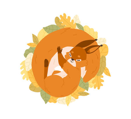 Cute happy squirrel sleeping on autumn leaves. Sweet adorable relaxed animal resting curled up and covered with fluffy tail. Colored flat vector illustration isolated on white backgroundのイラスト素材