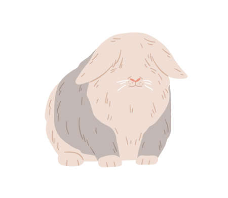 Cute lop angora rabbit. Happy fuzzy ram bunny standing. Domestic animal with fluffy fur on eyes. English coney pet. Flap-eared breed of rodent. Flat vector illustration isolated on white backgroundのイラスト素材