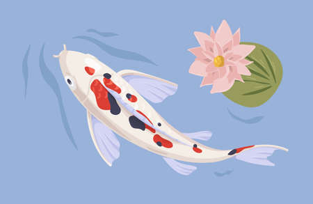 Japanese koi swimming in Asian pond with waterlily. Japan fish in oriental water garden with flower. Top view of Chinese decorative carp. Colored flat vector illustration of eastern aquatic animalのイラスト素材