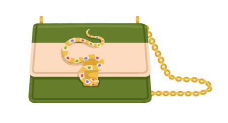 Modern fashion flap bag with snake buckle, jewels and gold chain. Women stylish clutch with shoulder strap. Fashionable trendy purse. Colored flat vector illustration isolated on white backgroundのイラスト素材
