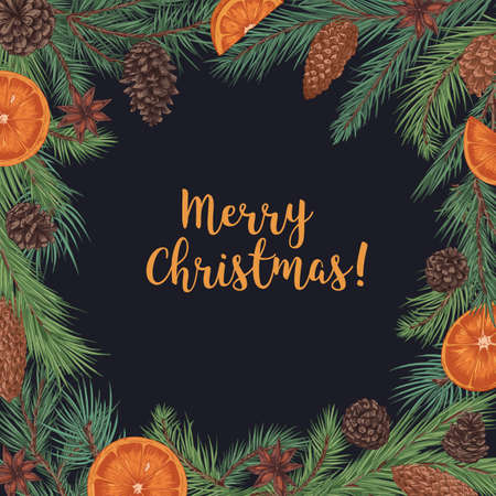 Merry Christmas card with fir branch border and background for text. Winter holiday postcard design with Xmas coniferous frame with orange fruit and cones decoration. Hand-drawn vector illustrationのイラスト素材
