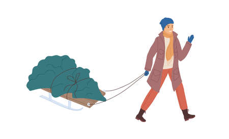 Person carrying Christmas fir tree on sled on winter holidays time. Happy man pulling sledge with fresh festive firtree on Xmas eve in December. Flat vector illustration isolated on white backgroundのイラスト素材