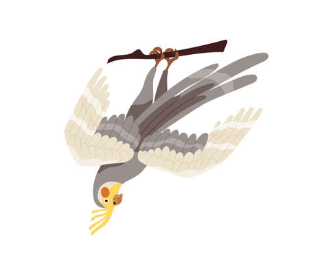 Cockatiel parrot with yellow crest, orange cheek patches and gray feathers. Tropical weiro bird with long tail hanging on tree branch. Australian birdie. Flat vector illustration isolated on whiteのイラスト素材