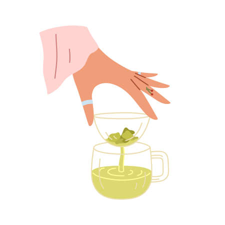 Hand making green tea with strainer and Chinese leaves. Woman brewing and pouring healthy hot drink through filter into glass cup. Flat vector illustration isolated on white backgroundのイラスト素材