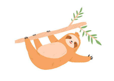 Cute sloth hanging on tree branch. Funny lazy baby animal gesturing and waving with paw, saying hello. Happy sweet slow character. Flat vector illustration isolated on white backgroundのイラスト素材