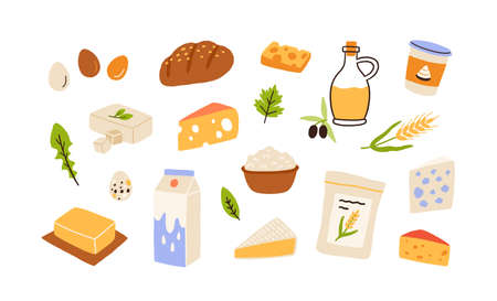 Healthy food set. Bread, flour, dairy products, olive oil and butter collection. Milk, cheese, curds, egg and sour cream. Colored flat vector illustration of groceries isolated on white backgroundのイラスト素材