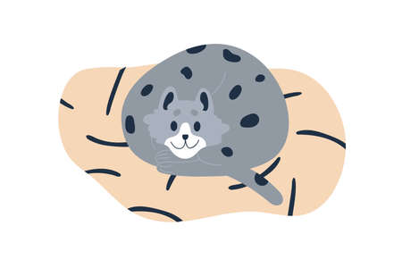 Happy cat lying in pet cushion bed. Cute kitty resting rolled up in ball. Funny kitten relaxing. Adorable feline animal. Flat vector illustration isolated on white backgroundのイラスト素材